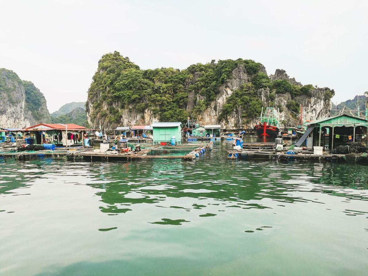 Heritage Line Ylang Cruise - Halong Bay & Lan Ha Bay Ha Long Exterior foto